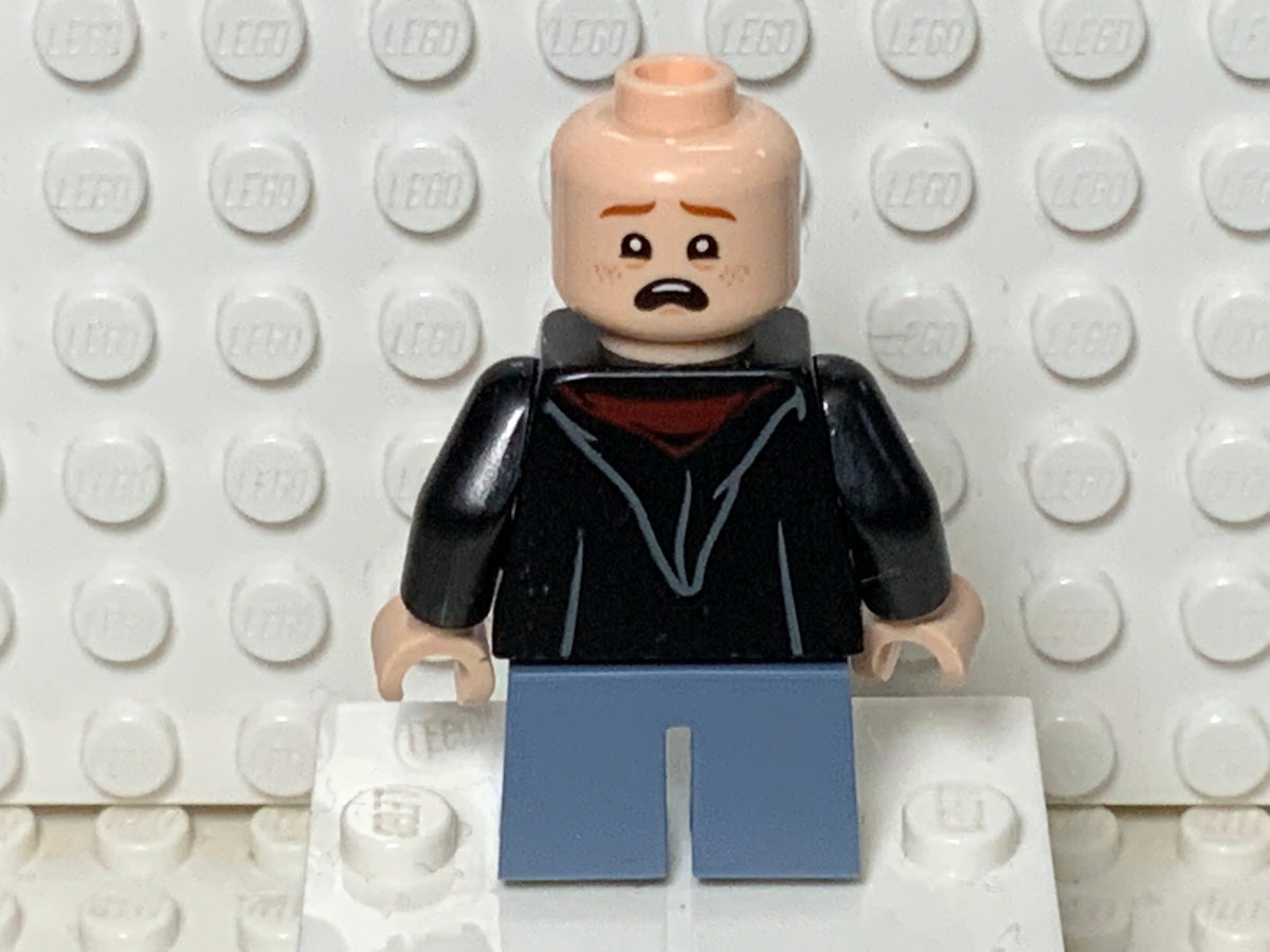 Ron Weasley, hp248, LEGO® Harry Potter™ Minifigure
