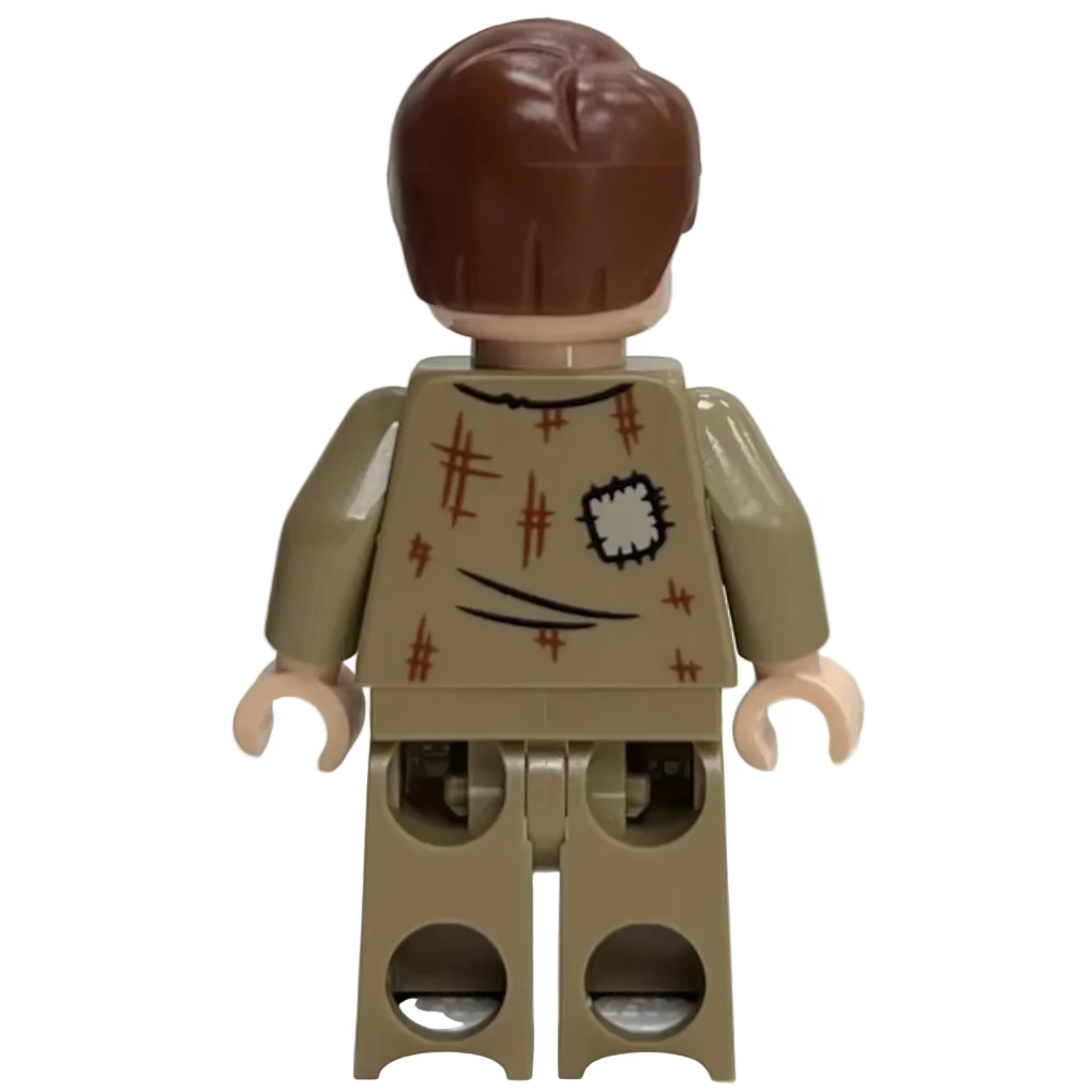 Professor Remus Lupin, hp367 - LEGO® Harry Potter Minifigure