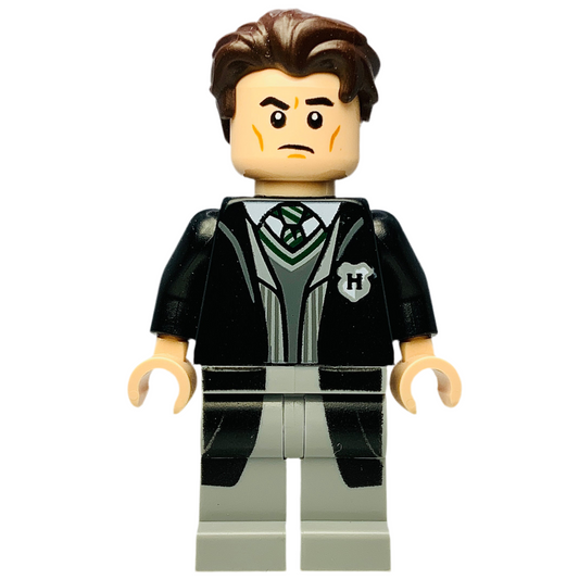 Tom Riddle, hp311