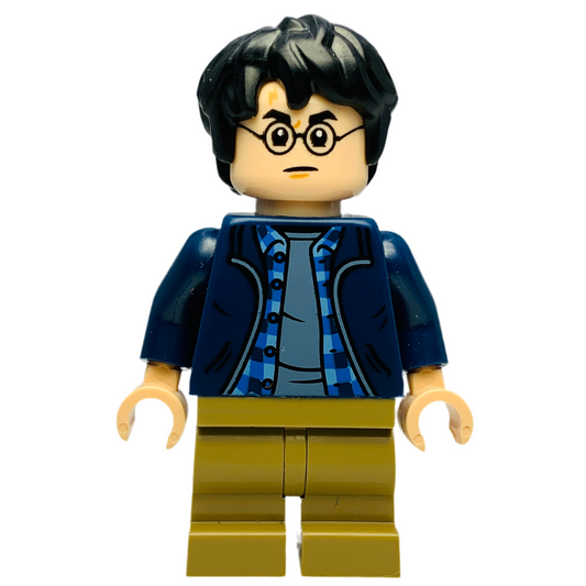 Harry Potter, hp544, LEGO® Harry Potter™ Minifigure