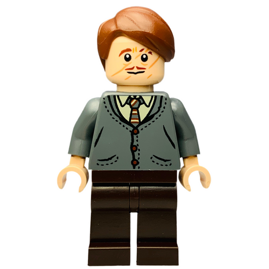 Professor Remus Lupin, hp420