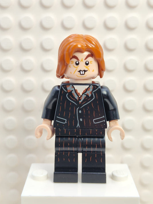 Peter Pettigrew, hp351