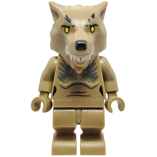 Professor Remus Lupin - Werewolf, hp348