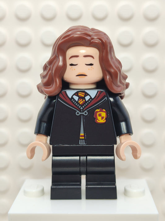Hermione Granger, hp415