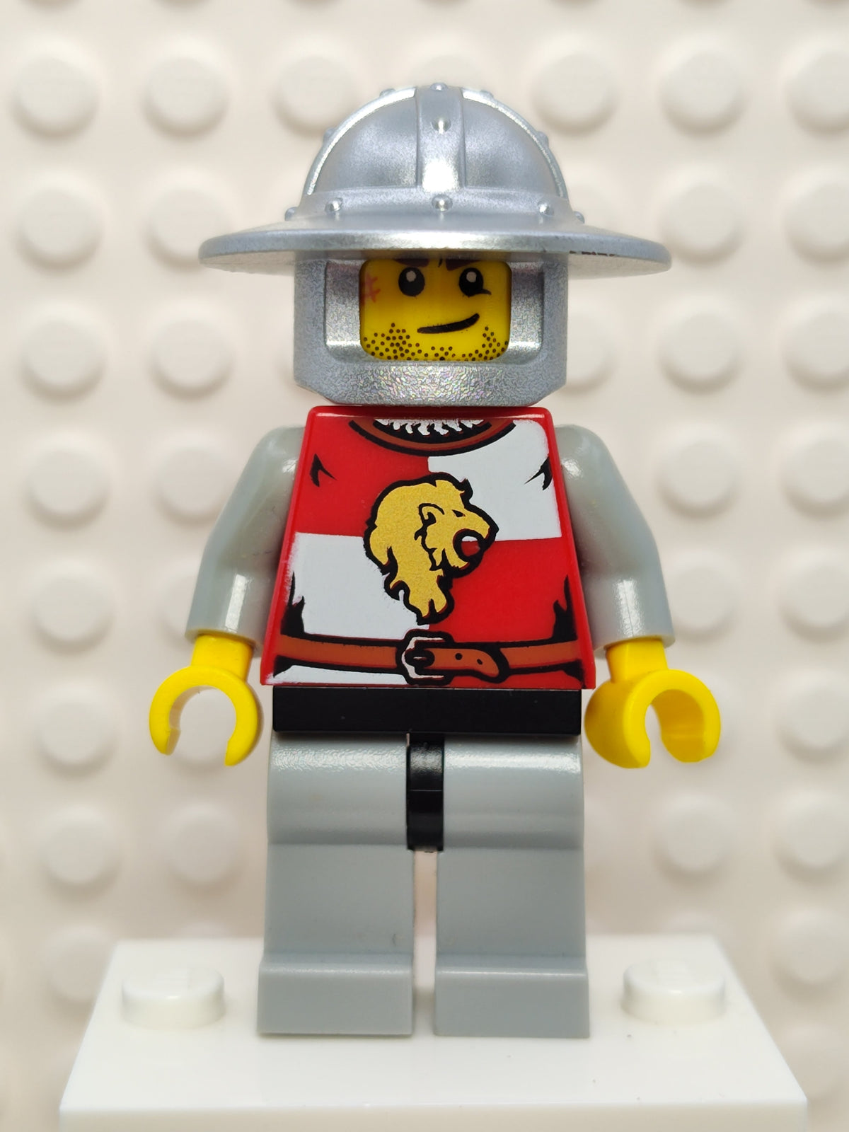 Lion Knight Quarters (Crooked Smile and Scar), cas513