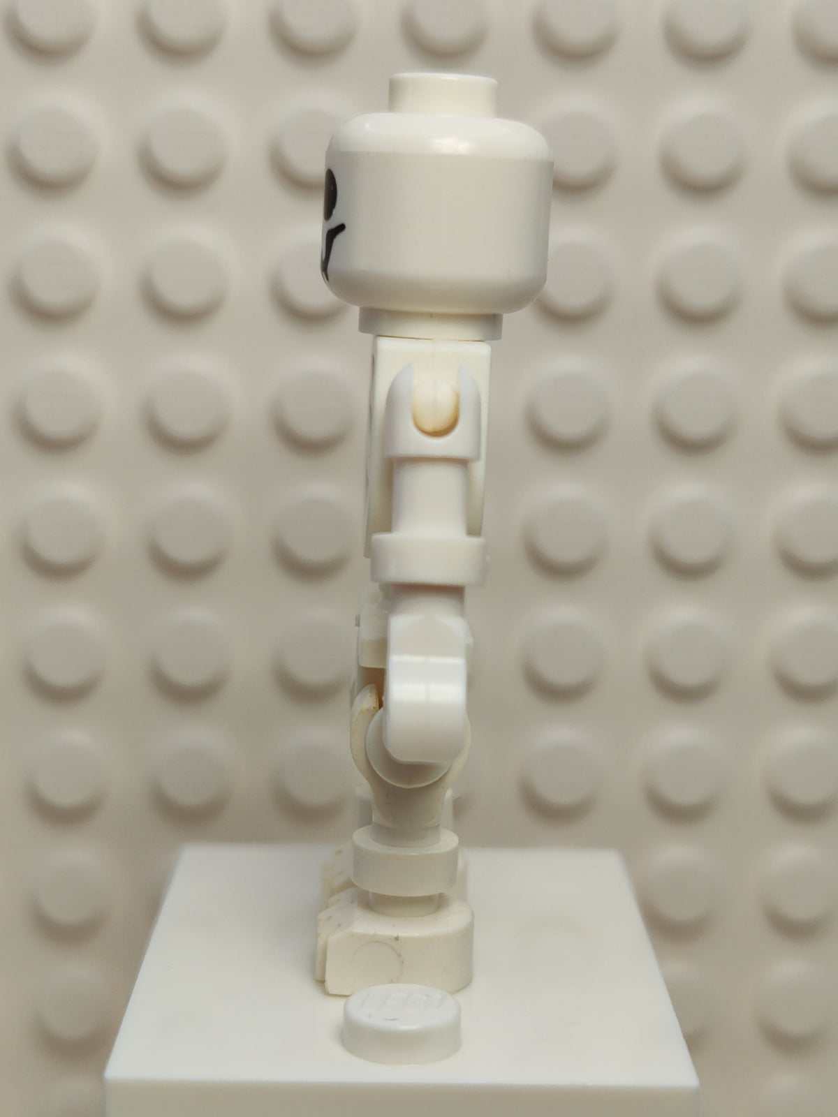 Skeleton - Standard Skull, Floppy Arms, gen001 - LEGO® Castle
