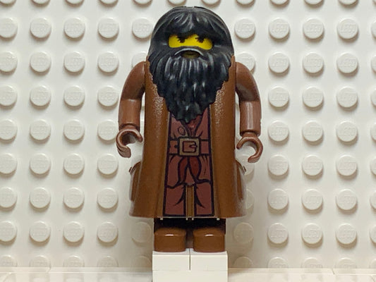 Rubeus Hagrid, hp009