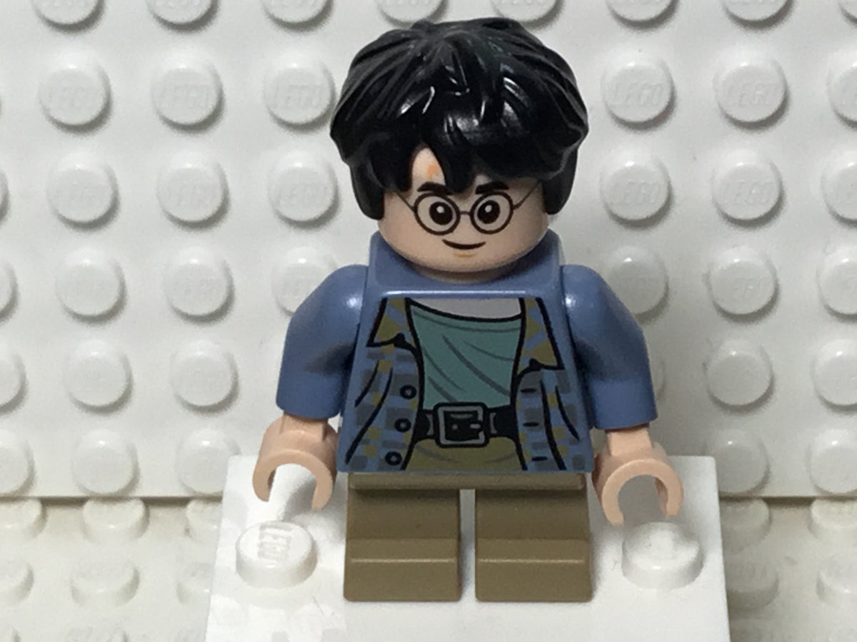 Harry Potter, hp316, LEGO® Harry Potter™ Minifigure