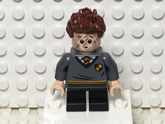 Seamus Finnigan, hp268