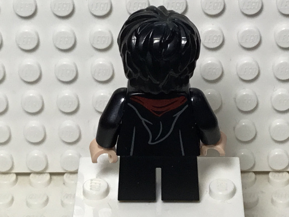 Harry Potter, hp314, LEGO® Harry Potter™ Minifigure