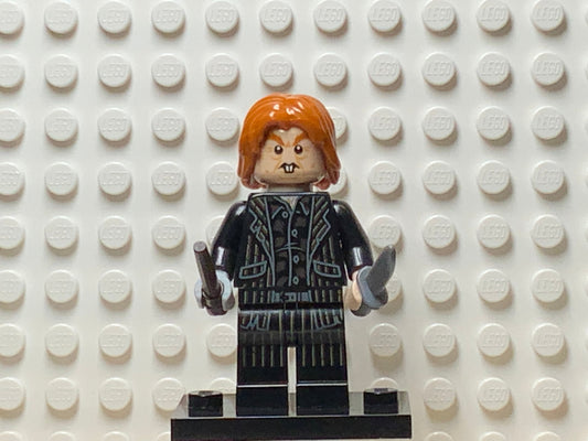 Peter Pettigrew, hp196