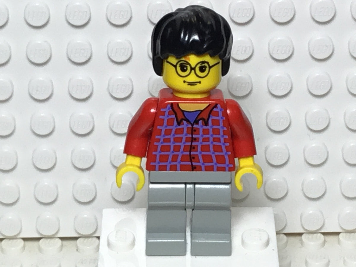 Harry Potter, hp025, LEGO® Harry Potter™ Minifigure