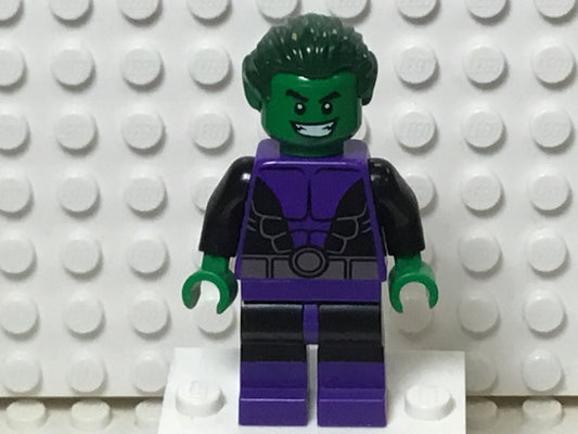 Beast Boy, sh0198