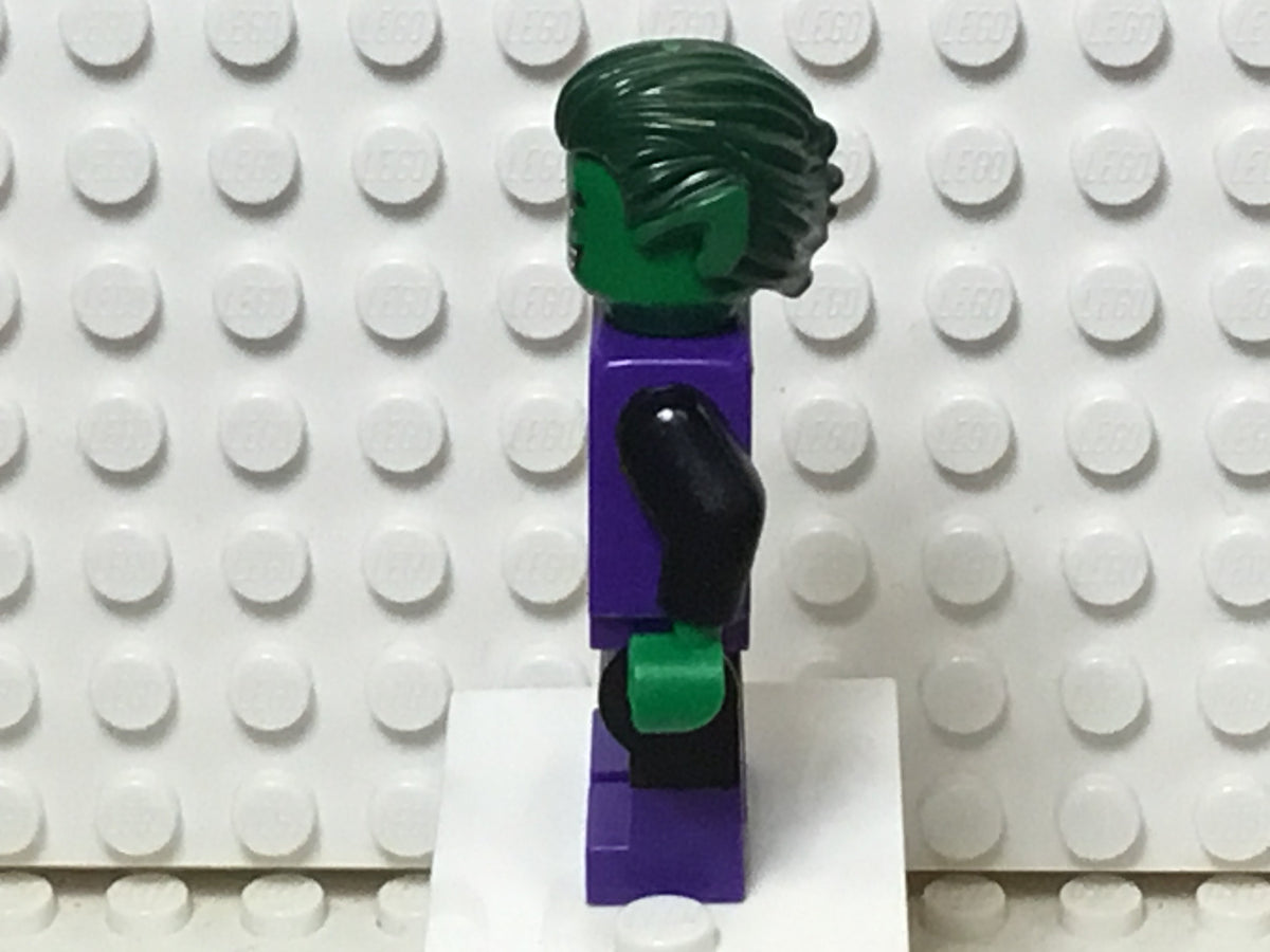 Beast Boy, sh0198