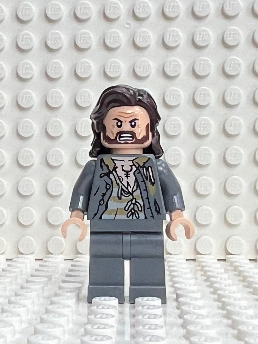 Sirius Black, hp352