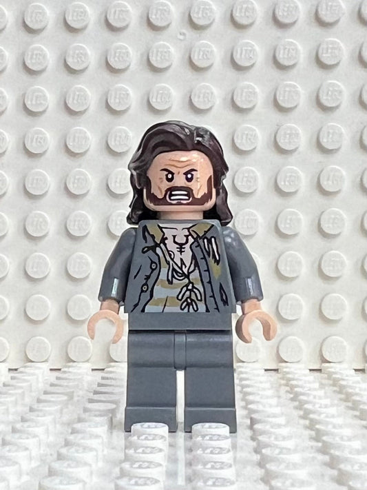 Sirius Black, hp352