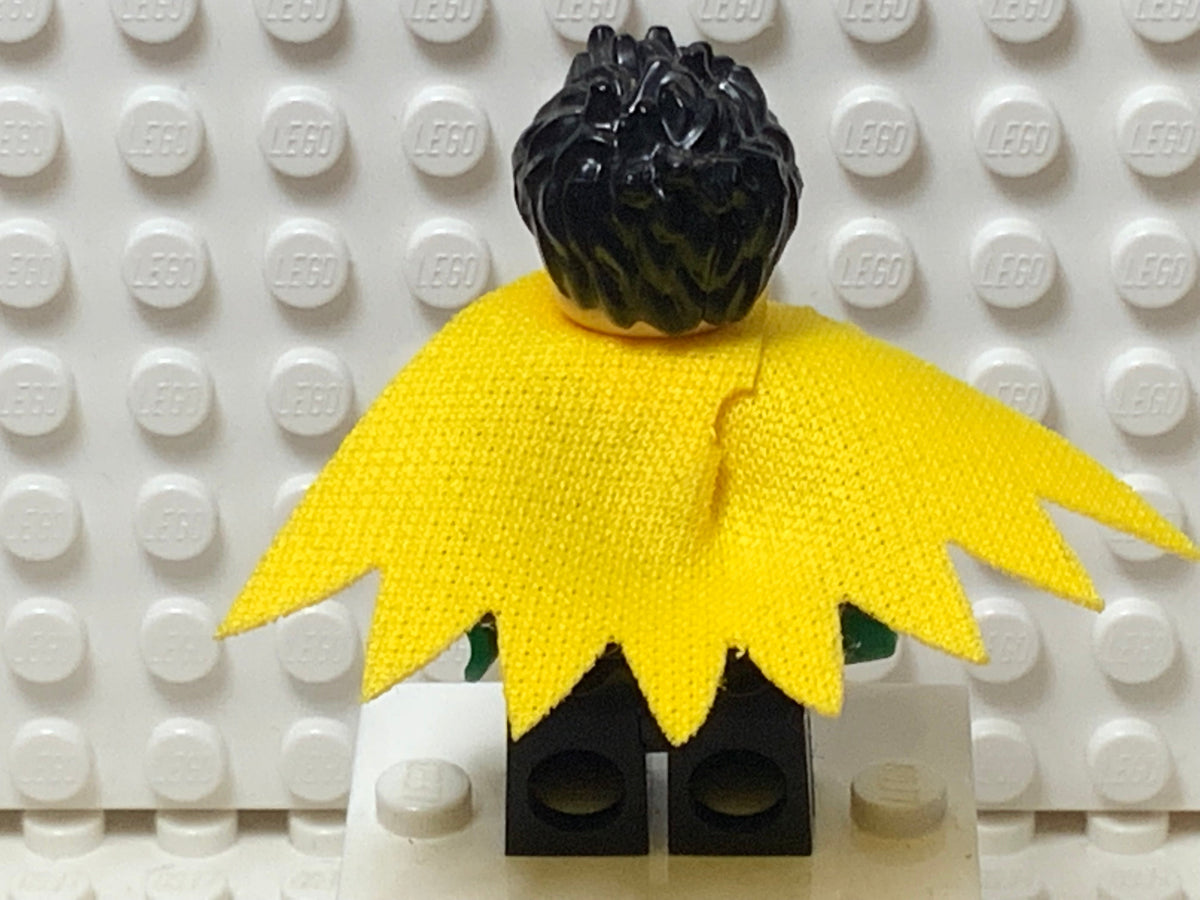 Robin, sh0651