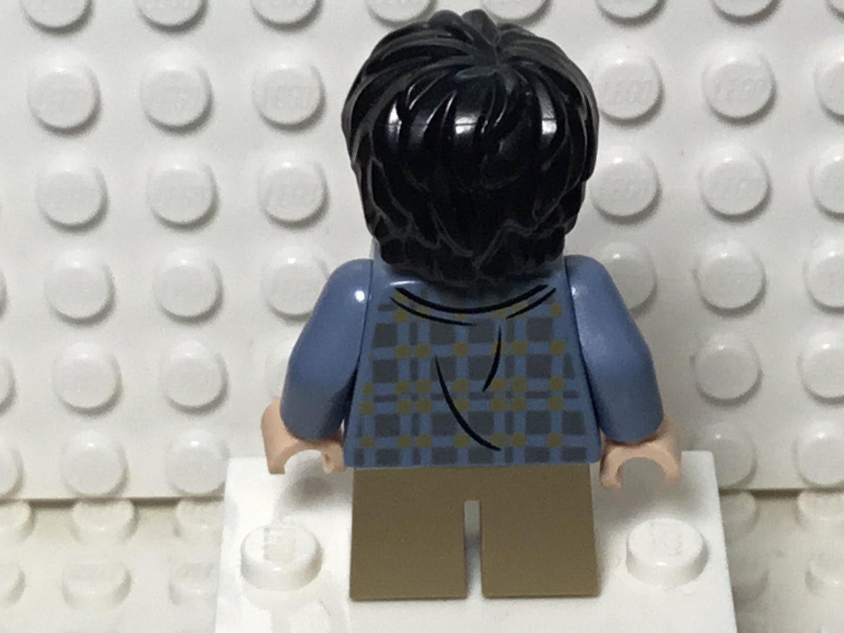 Harry Potter, hp316, LEGO® Harry Potter™ Minifigure