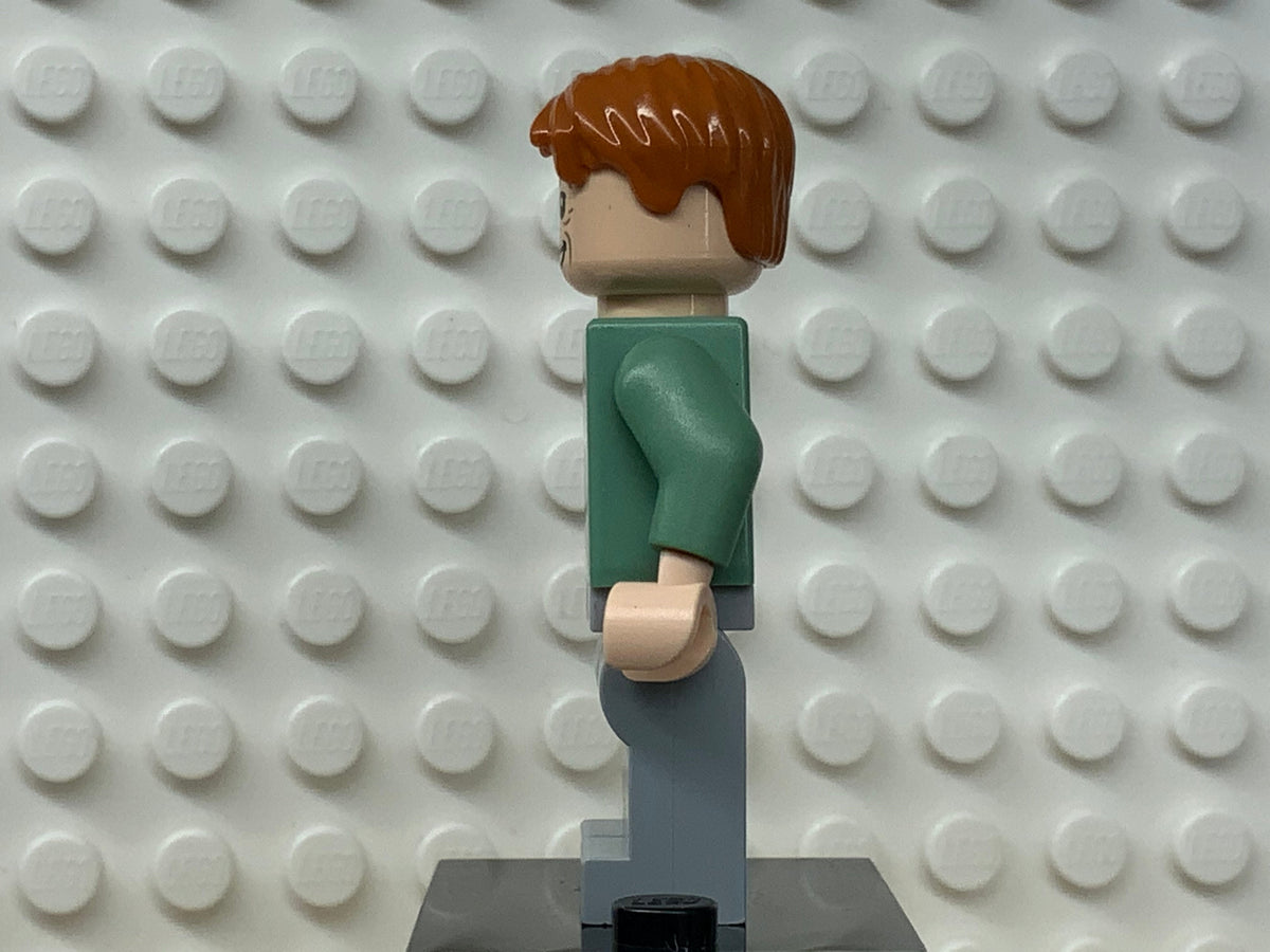 Arthur Weasley, hp089
